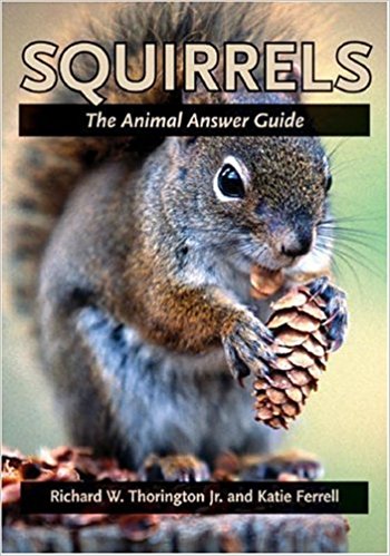 Squirrels: The Animal Answer Guide 
