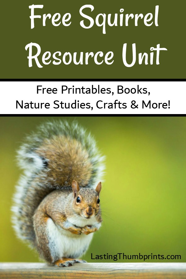 Everything you need to help you learn about squirrels! Free printables, books, crafts, and more!