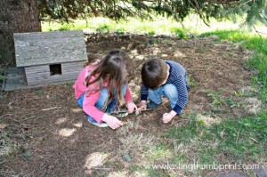 natural outdoor play spaces