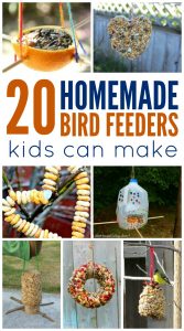 Homemade Bird Feeders Kids Can Make