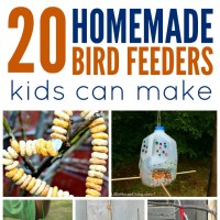 Homemade Bird Feeders Kids Can Make